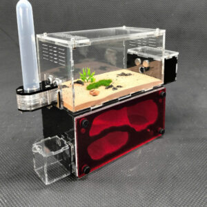 Tank Kiến H03 - Hình ảnh 2