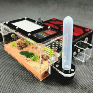 Tank Kiến N03 - Hình ảnh 2
