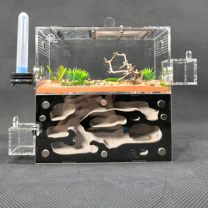 Tank Kiến D03 - Hình ảnh 5