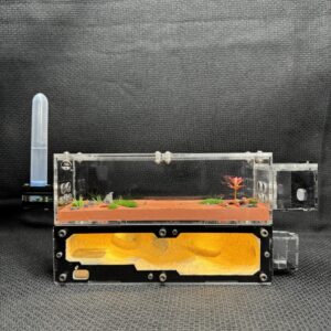 Tank Kiến US1 - Hình ảnh 9
