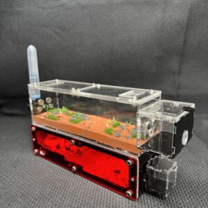 Tank Kiến US1 - Hình ảnh 8