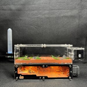 Tank Kiến US1 - Hình ảnh 6
