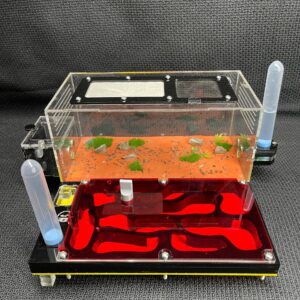 Tank Kiến N03_mica - Hình ảnh 5