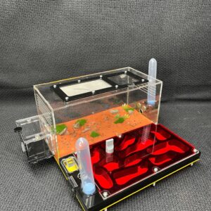 Tank Kiến N03_mica - Hình ảnh 3