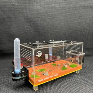 Tank Kiến N03_mica - Hình ảnh 2