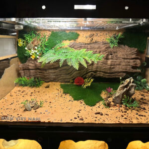 Tank Chung Cư LAB15 - Hình ảnh 4