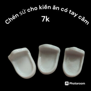 Chén cho kiến ăn - Hình ảnh 4