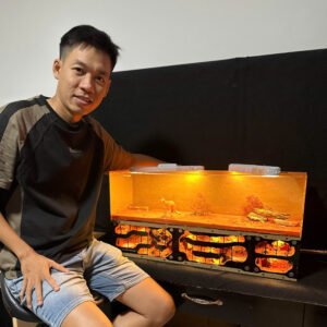 Tank Hầm Mỏ Custom - Hình ảnh 2