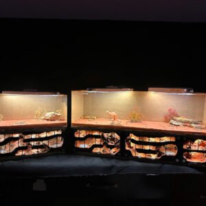 Tank Hầm Mỏ Custom - Hình ảnh 3